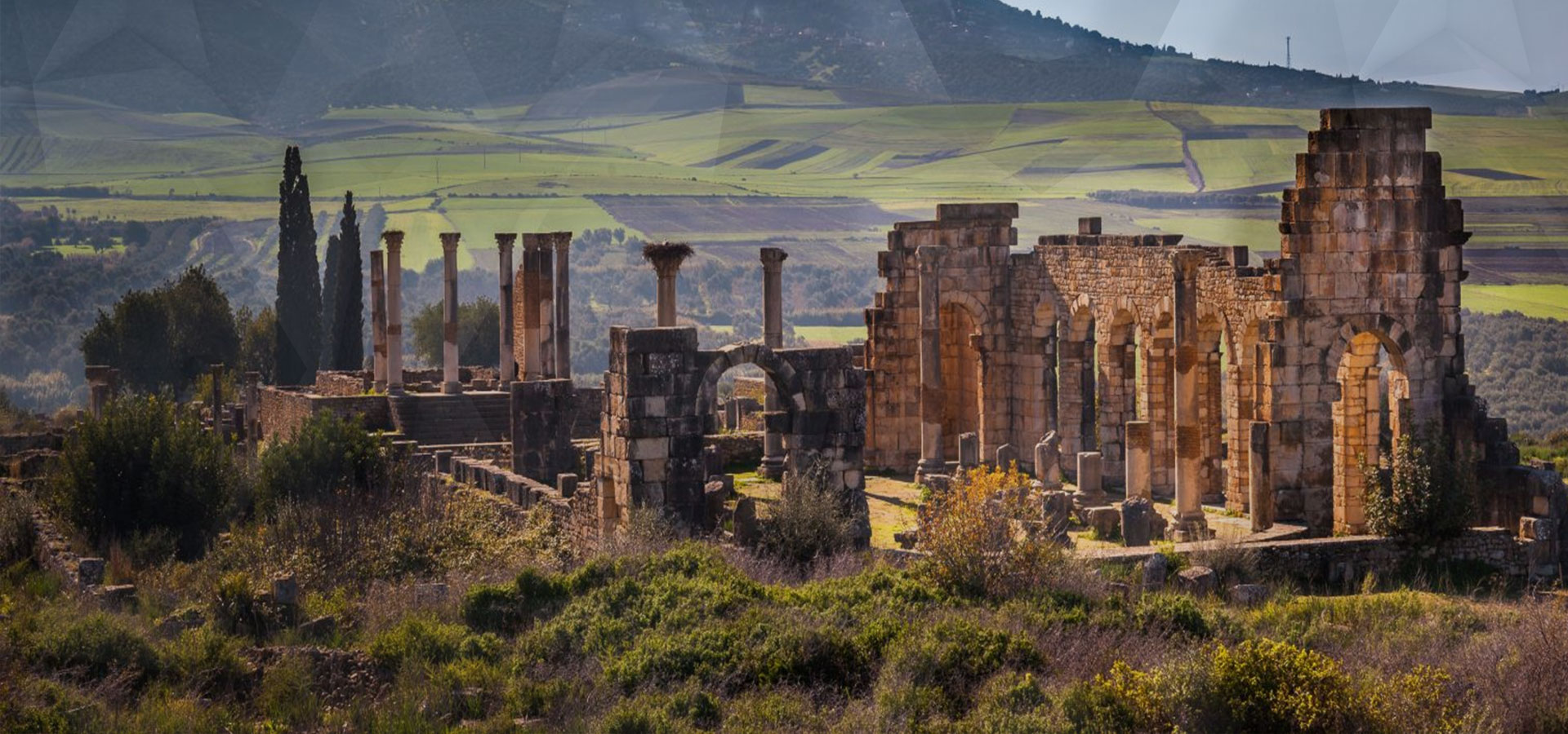 Volubilis, Moulay Idriss & Meknes Day Trip