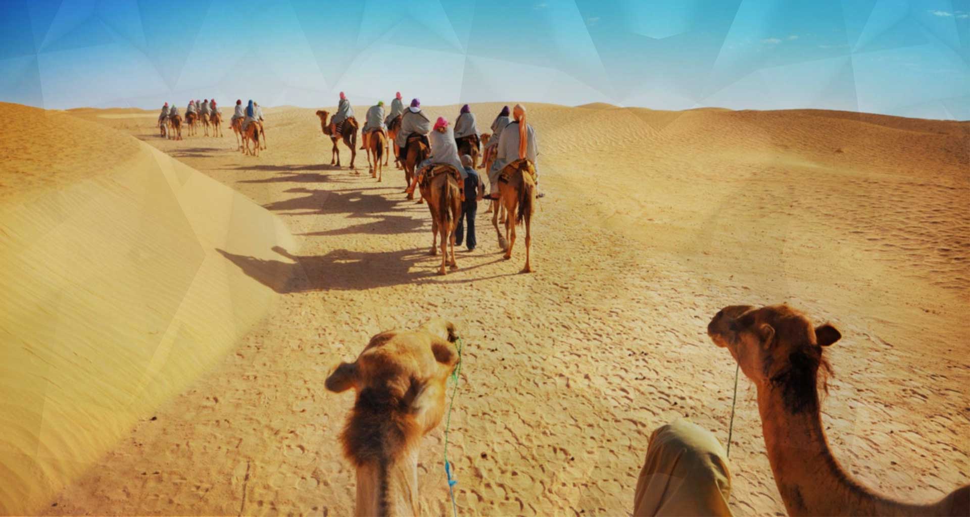 Palmeraie Camel Ride in Marrakech
