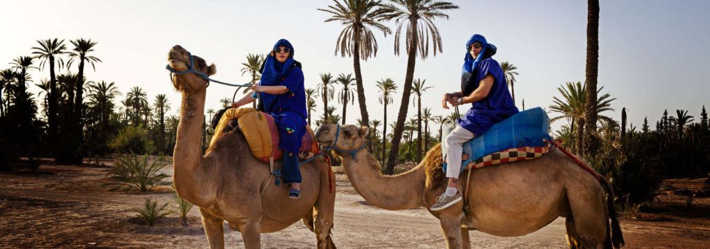 Two travellers riding camels among palm trees in the Marrakech Palmeraie