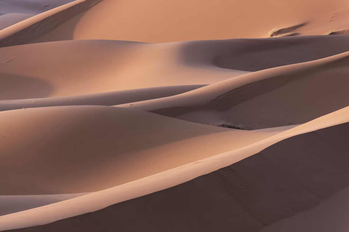 Sahara & Imperial Cities in Morocco
